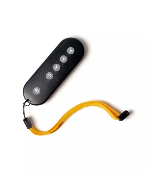 Remote control