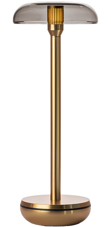 Logo Mega Menu