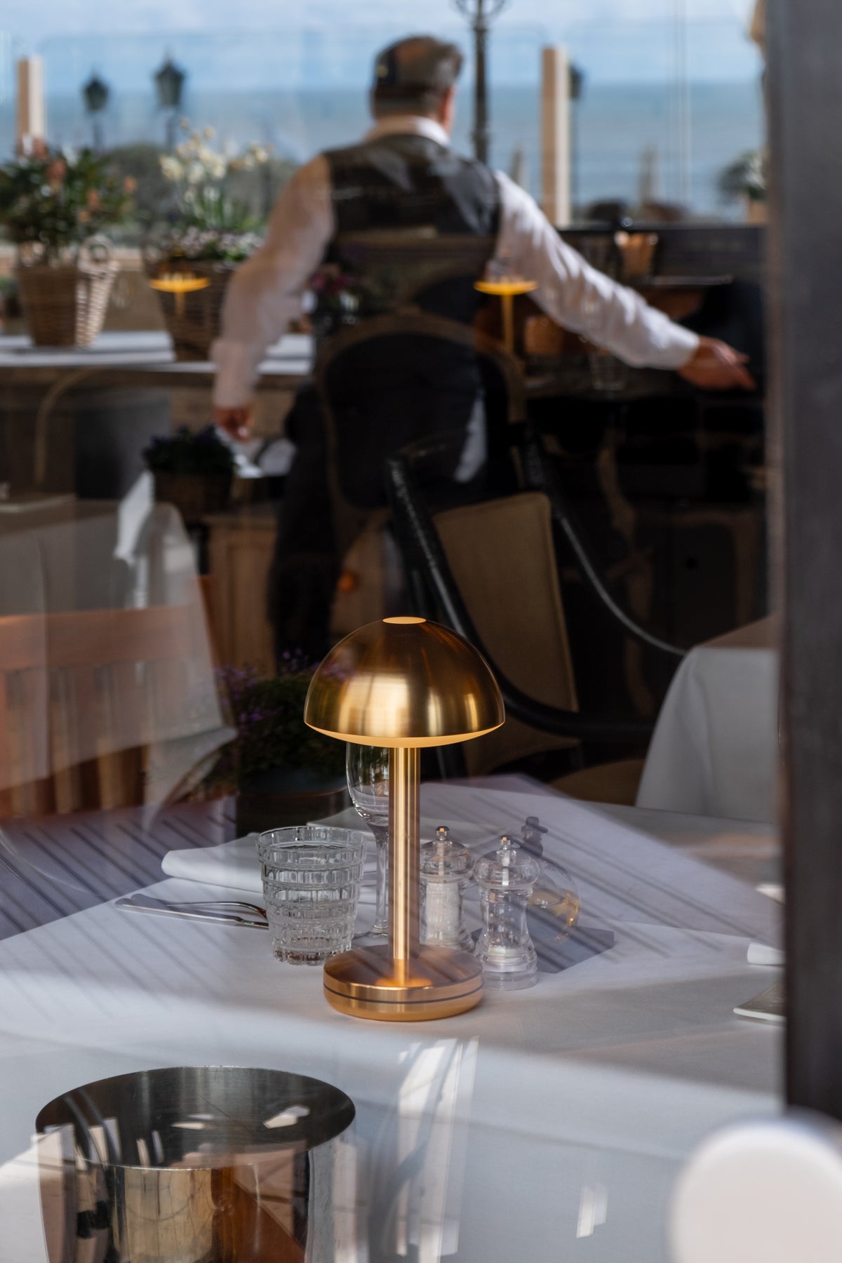 Humble Bug Gold at Huis ter Duin, The Hague